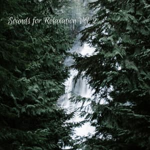 Nature Waterfall: Sounds for Relaxation Vol. 2 - Music for Relaxing Cats