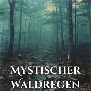 Mystischer Waldregen: Eine visuelle Flucht in die Umarmung der Natur und tiefe Entspannung - Meditationsmusik Sammlung