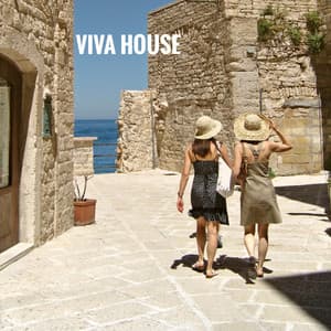 Viva House - Bar Lounge