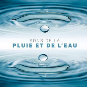 Sons de la pluie et de l'eau: Musique de la nature pour la relaxation totale et le soulagement du stress - Natural New Age Maker!