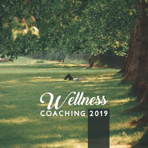 Wellness Coaching 2019: Effective Rest for Modern Society, Relaxation Guided, Ultimate Stress Management, Autogenic Training, Reiki Spa, Insomnia Help - Naturopathy Music Collection