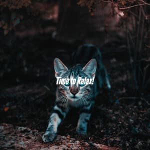 Time to Relax! - Saturday Morning Relaxation Vibes