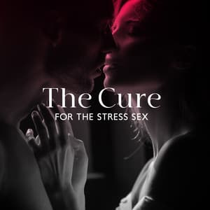 The Cure For The Stress Sex - Pedro EL Loco