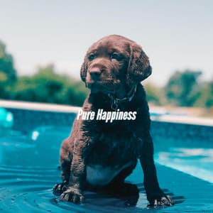 Pure Happiness - Hotel Jazz Music