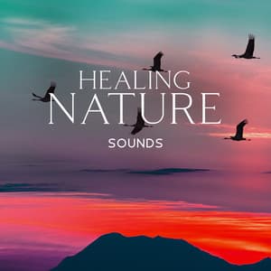 Healing Nature Sounds - Relaxing music