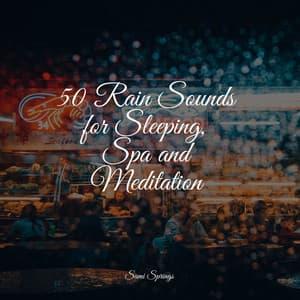 50 Rain Sounds for Sleeping, Spa and Meditation - Nature Sounds XLE Library