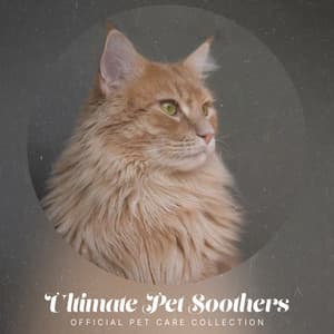 Ultimate Pet Soothers - Official Pet Care Collection