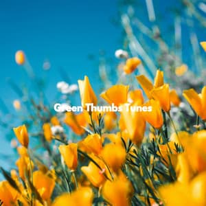 Green Thumbs Tunes - Musique du Dimanche Matin