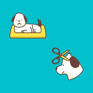 Jazz Violin - Ambiance for Dog Memories - Dog Anxiety Music