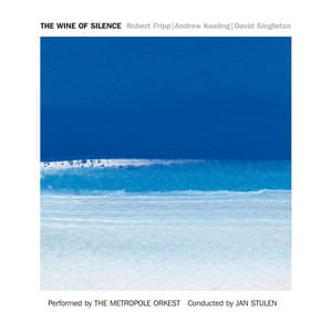 The Wine of Silence - Robert Fripp