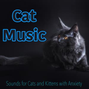 Cat Music - Sounds for Cats and Kittens with Anxiety - RelaxMyCat