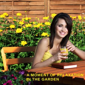 A Moment of Relaxation in the Garden - Forest Hills Music Universe