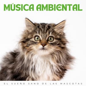 Música Ambiental: El Sueño Sano De Las Mascotas - Reiki para animales