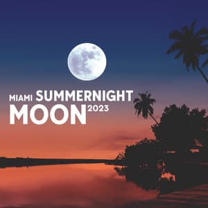 Miami Summernight Moon 2023 - American Air