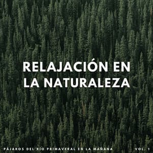 Relajación En La Naturaleza: Pájaros Del Río Primaveral En La Mañana Vol. 1 - Rios y corrientes