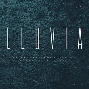 Huellas Binaurales En La Naturaleza: Una Mezcla Armoniosa De Mascotas Y Lluvia - Registradores de lluvia