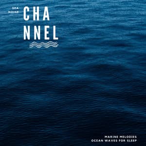 Marine Melodies: Ocean Waves for Sleep - Sea Noise Channel