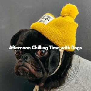 Afternoon Chilling Time with Dogs - Bossa Nova Jazz Lounge