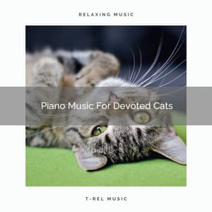Piano Music For Devoted Cats - Sleep Cat