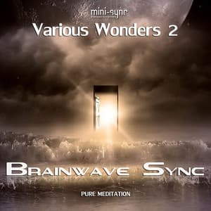 Various Wonders 2 - Relaxation & Meditation Music with Brainwave Entrainment - Alpha, Delta, Gamma & Theta Frequency - Brainwave-Sync