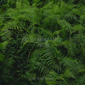 50 Relaxing Sleep Tracks - Baby Lullaby