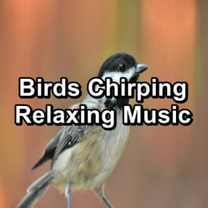 Birds Chirping Relaxing Music - Nature Bird Sounds