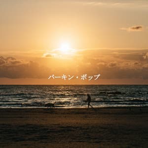 バーキン・ボップ - Fine Dining Music