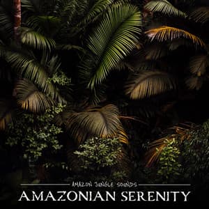 Amazonian Serenity - Amazon Jungle Sounds