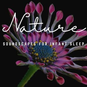 Gentle Cooing: Soundscapes for Infant Sleep - Relaxing Spaces