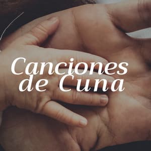 2 Horas de Canciones de Cuna - Música para Dormir Niño 2 Años - Ritmo del Feto