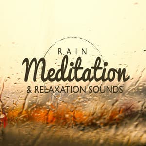 Rain Meditation & Relaxation Sounds - Rain Sounds