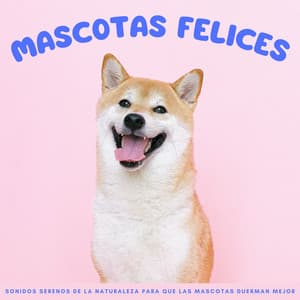 Mascotas Felices: Sonidos Serenos De La Naturaleza Para Que Las Mascotas Duerman Mejor - Verde 5
