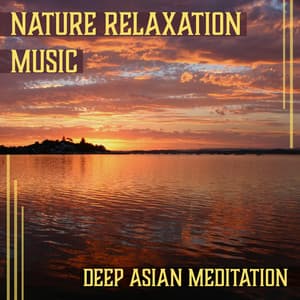 Nature Relaxation Music: Deep Asian Meditation, Tai Chi Music, Chakra Healing Zone, Ocean Waves, Rain Sounds - Healing Touch Zone