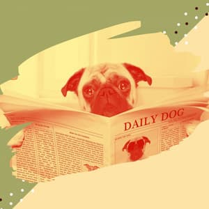 Feelings for Doggy Training Sessions - Dog Anxiety Music