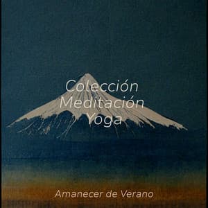 Colección Meditación Yoga - Relajación Meditar Academie