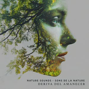 Deriva del Amanecer - Nature Sounds - Sons de la nature