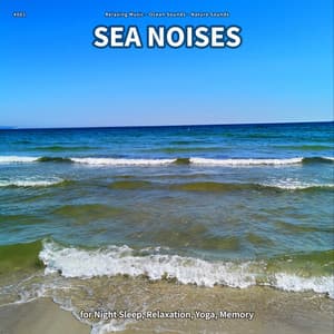 #001 Sea Noises for Night Sleep, Relaxation, Yoga, Memory - Relaxing music