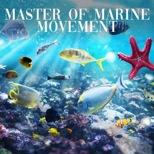 Master of Marine Movement - Relaxing Sea Sounds