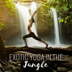 Exotic Yoga in the Jungle – Tropical Music for Exercises, Calm Down, Deep Breathing, Nature World - Exotic Nature Kingdom