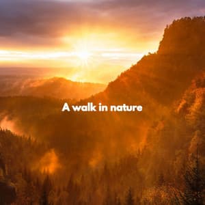 A walk in nature - Música para Cafeterías