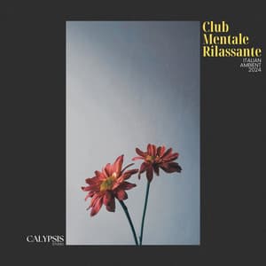 Club Mentale Rilassante - Rilassamento Musica Zona