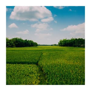 Slow Life Music - Pilates Workout Academy