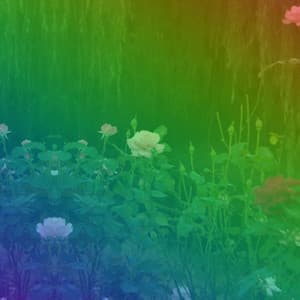 Piano Jazz Duo - Ambiance for Morning Melodies - Cafe Jazz Duo