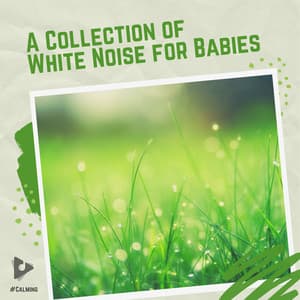 A Collection of White Noise for Babies - #Calming