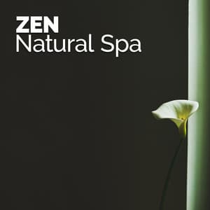 Zen Natural Spa - Deep Sleep Nature Sounds