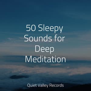 50 Sleepy Sounds for Deep Meditation - Rain Sounds & White Noise