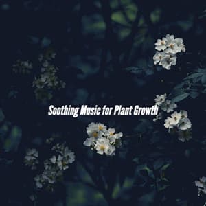 Soothing Music for Plant Growth - French Jazz Lounge