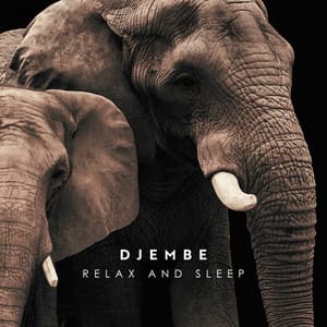 Djembe Stillness and Moon Descent - Nikitovich