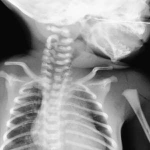 A Conscious Effort - Attilio Novellino