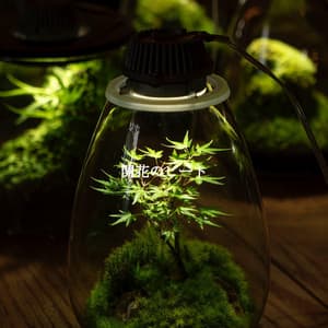 開花のビート - Música para Programar